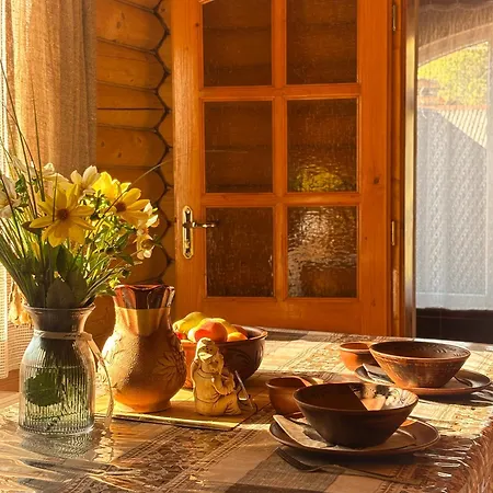 людмила Πανσιόν