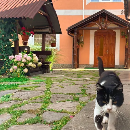 людмила Pilipets